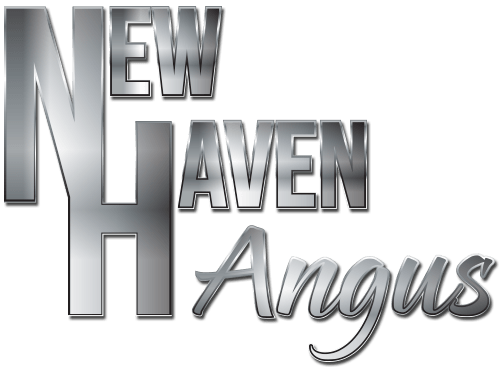 New Haven Angus Logo